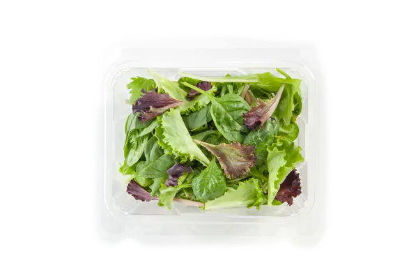 salad in plastic clamshell packaging