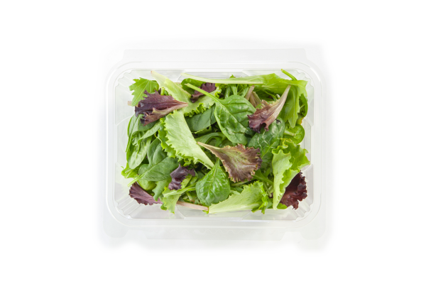 salad in plastic clamshell packaging