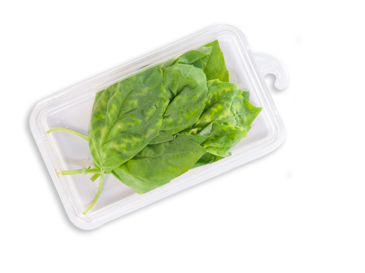 Herb clamshell container
